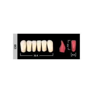 Phonares II Anterior зубы композитные, фронтальные нижние, фасон LL50, цвет A1, 6 шт.