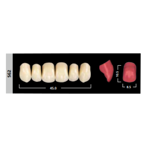 Phonares II Anterior зубы композитные, фронтальные верхние, фасон US62, цвет A3, 6 шт.