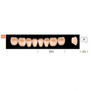 Condyloform II NFC+ зубы композитные, боковые нижние, фасон 34, цвет C3, 8 шт.