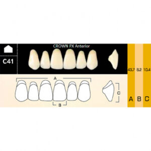 Crown PX Anterior зубы композитные трёхслойные, фронтальные верхние, фасон C41, цвет A1, 6 шт.