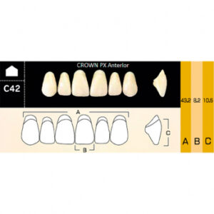 Crown PX Anterior зубы композитные трёхслойные, фронтальные верхние, фасон C42, цвет A1, 6 шт.