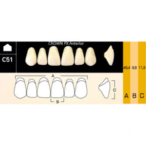Crown PX Anterior зубы композитные трёхслойные, фронтальные верхние, фасон C51, цвет A1, 6 шт.