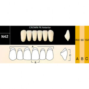 Crown PX Anterior зубы композитные трёхслойные, фронтальные нижние, фасон N42, цвет A1, 6 шт.