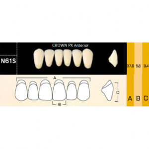 Crown PX Anterior зубы композитные трёхслойные, фронтальные нижние, фасон N61S, цвет C3, 6 шт.