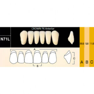 Crown PX Anterior зубы композитные трёхслойные, фронтальные нижние, фасон N71L, цвет A1, 6 шт.