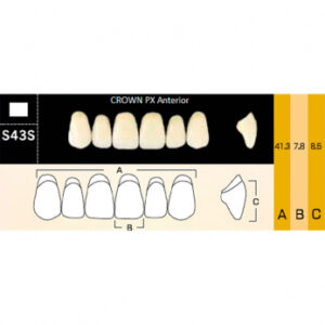 Crown PX Anterior зубы композитные трёхслойные, фронтальные верхние, фасон S43S, цвет A1, 6 шт.