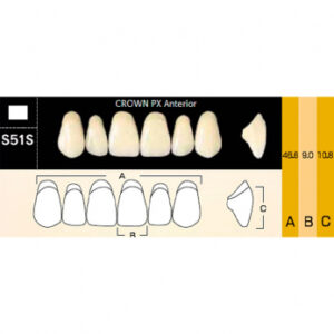 Crown PX Anterior зубы композитные трёхслойные, фронтальные верхние, фасон S51S, цвет A1, 6 шт.
