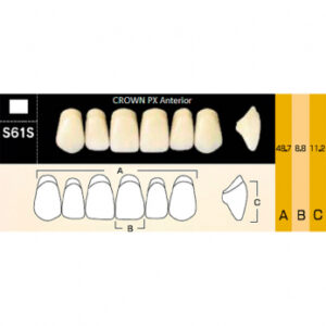 Crown PX Anterior зубы композитные трёхслойные, фронтальные верхние, фасон S61S, цвет A1, 6 шт.