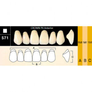 Crown PX Anterior зубы композитные трёхслойные, фронтальные верхние, фасон S71, цвет A1, 6 шт.