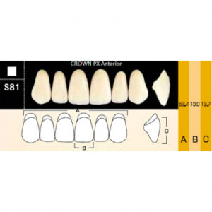 Crown PX Anterior зубы композитные трёхслойные, фронтальные верхние, фасон S81, цвет A1, 6 шт.