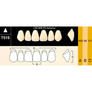 Crown PX Anterior зубы композитные трёхслойные, фронтальные верхние, фасон T51S, цвет C3, 6 шт.