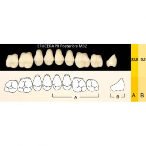 Efucera PX Posteriors зубы композитные трёхслойные, боковые верхние, фасон M32, цвет A1, 8 шт.