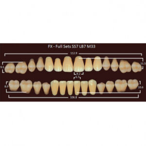 FX Full Sets зубы акриловые двухслойные, полный гарнитур, 4 планки, фасон SS7/LB7/М34, цвет C2, 28 шт.