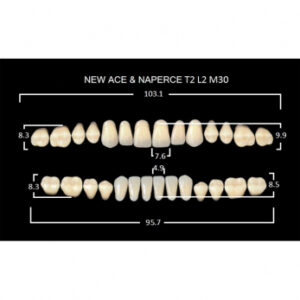 Gloria New Ace & Naperce зубы акриловые двухслойные, полный гарнитур, фасон T2/L2 М30, цвет A1, 28 шт.