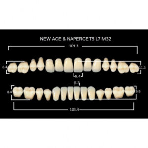 Gloria New Ace & Naperce зубы акриловые двухслойные, полный гарнитур, фасон T5/L7 М32, цвет A1, 28 шт.