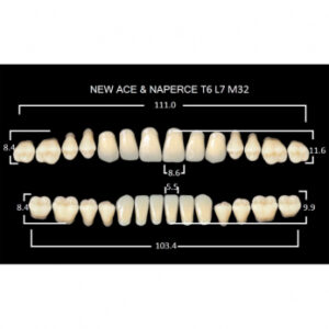 Gloria New Ace & Naperce зубы акриловые двухслойные, полный гарнитур, фасон T6/L7 М32, цвет C1, 28 шт.