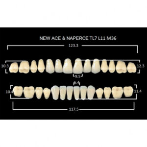 Gloria New Ace & Naperce зубы акриловые двухслойные, полный гарнитур, фасон TL7/L11 М36, цвет A1, 28 шт.