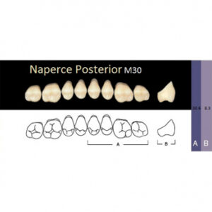 Naperce Posterior зубы акриловые двухслойные, боковые верхние, фасон M30, цвет B4, 8 шт.