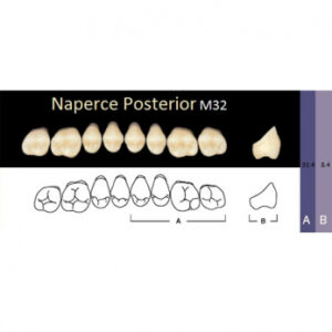 Naperce Posterior зубы акриловые двухслойные, боковые верхние, фасон M32, цвет A1, 8 шт.