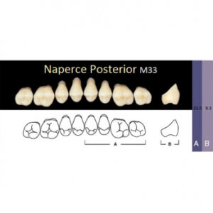 Naperce Posterior зубы акриловые двухслойные, боковые верхние, фасон M33, цвет C4, 8 шт.