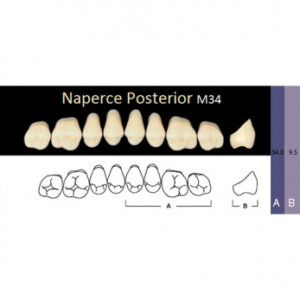 Naperce Posterior зубы акриловые двухслойные, боковые верхние, фасон M34, цвет B1, 8 шт.
