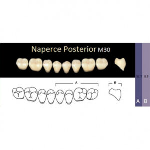Naperce Posterior зубы акриловые двухслойные, боковые нижние, фасон M30, цвет A1, 8 шт.