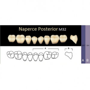 Naperce Posterior зубы акриловые двухслойные, боковые нижние, фасон M32, цвет A1, 8 шт.