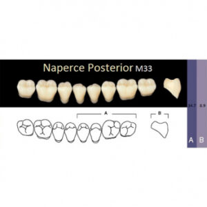 Naperce Posterior зубы акриловые двухслойные, боковые нижние, фасон M33, цвет С1, 8 шт.