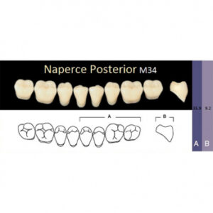 Naperce Posterior зубы акриловые двухслойные, боковые нижние, фасон M34, цвет A1, 8 шт.