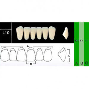 New Ace Anterior зубы акриловые двухслойные, фронтальные нижние, фасон L10, цвет C1, 6 шт.