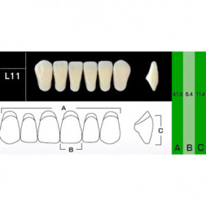 New Ace Anterior зубы акриловые двухслойные, фронтальные нижние, фасон L11, цвет B4, 6 шт.