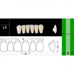 New Ace Anterior зубы акриловые двухслойные, фронтальные нижние, фасон L3, цвет A1, 6 шт.