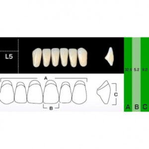 New Ace Anterior зубы акриловые двухслойные, фронтальные нижние, фасон L5, цвет A1, 6 шт.