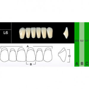New Ace Anterior зубы акриловые двухслойные, фронтальные нижние, фасон L6, цвет A3,5, 6 шт.