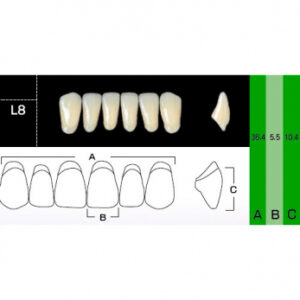 New Ace Anterior зубы акриловые двухслойные, фронтальные нижние, фасон L8, цвет A2, 6 шт.