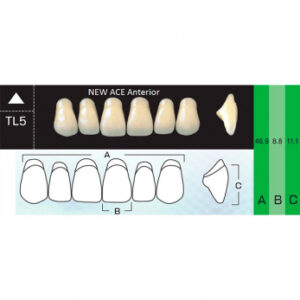 New Ace Anterior зубы акриловые двухслойные, фронтальные верхние, фасон TL5, цвет A1, 6 шт.