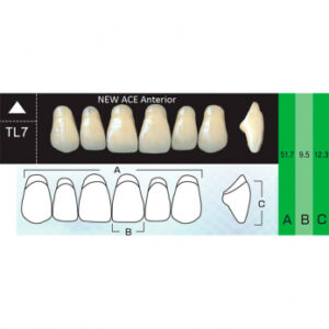 New Ace Anterior зубы акриловые двухслойные, фронтальные верхние, фасон TL7, цвет A1, 6 шт.